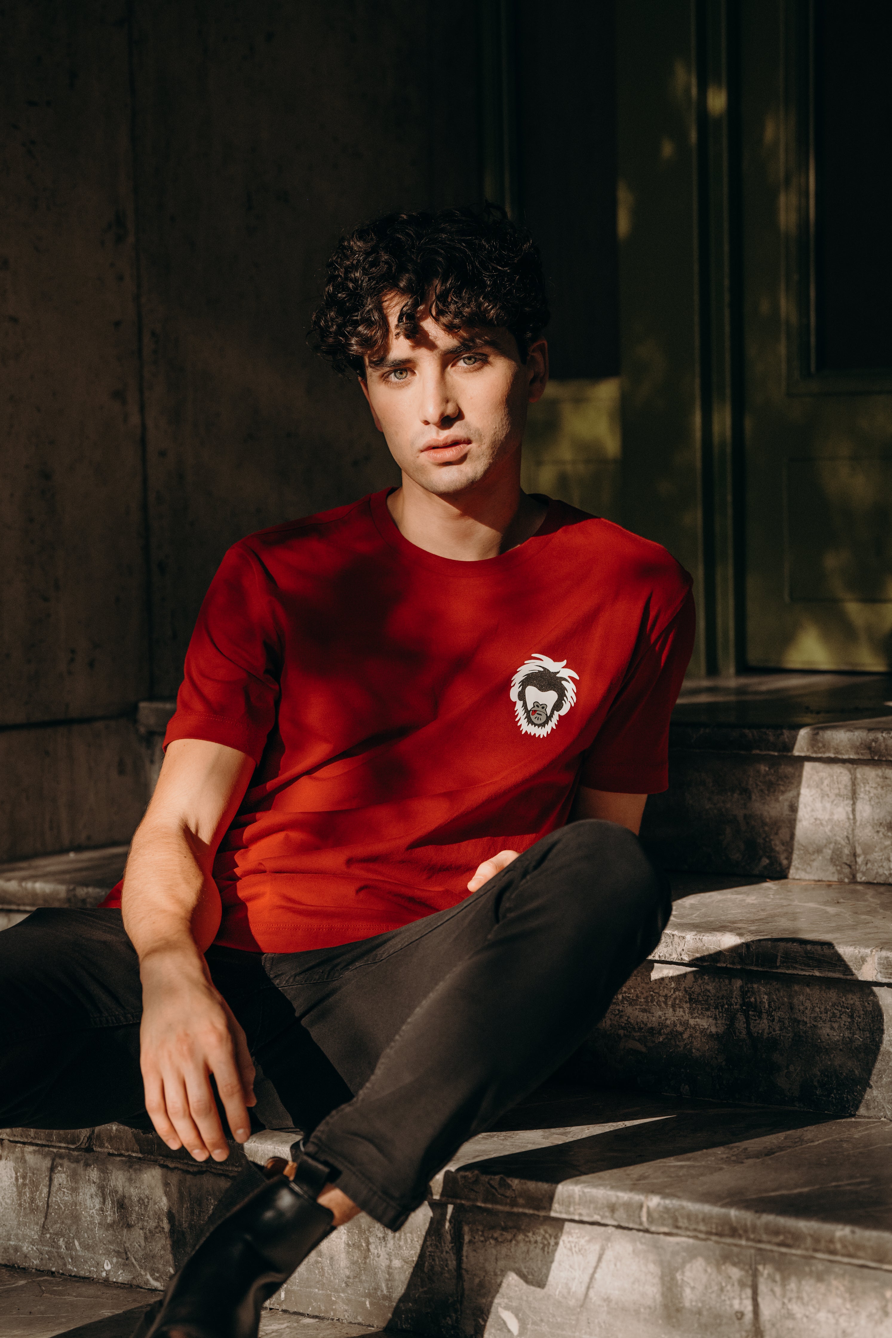 Men's Cotton T-shirt Wild Collection Basic