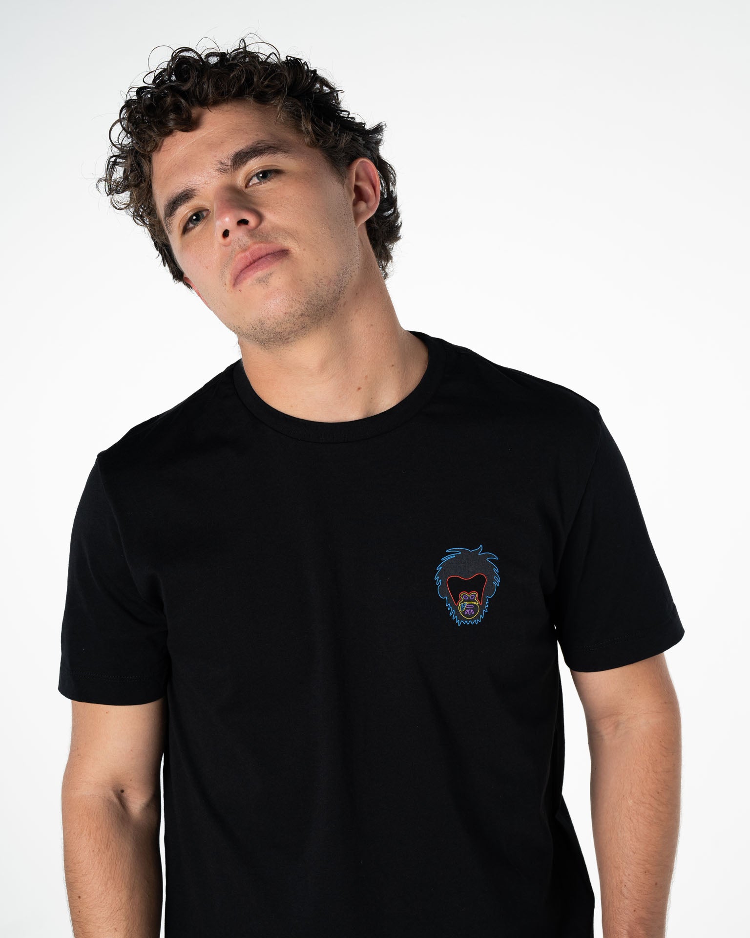 Men's cotton t-shirt Colors Collection