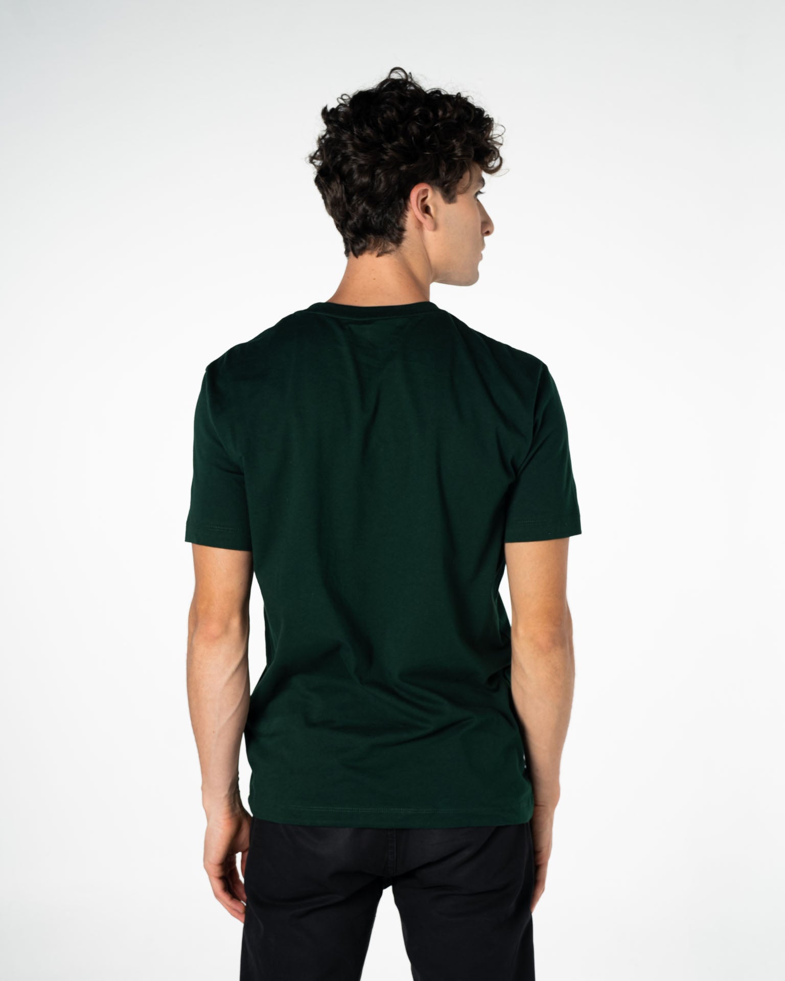 Men's cotton t-shirt Colors Collection