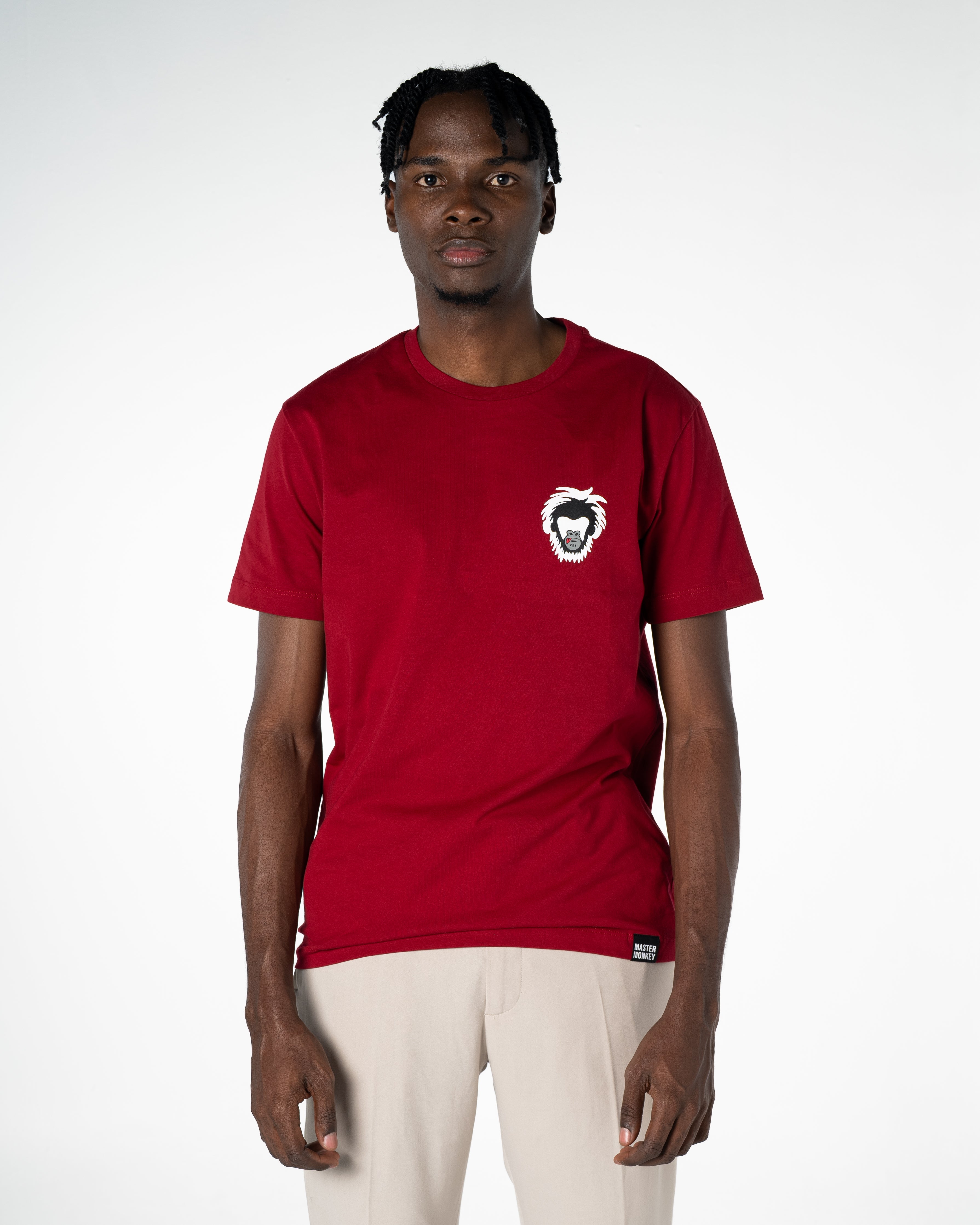 Men's Cotton T-shirt Wild Collection Basic