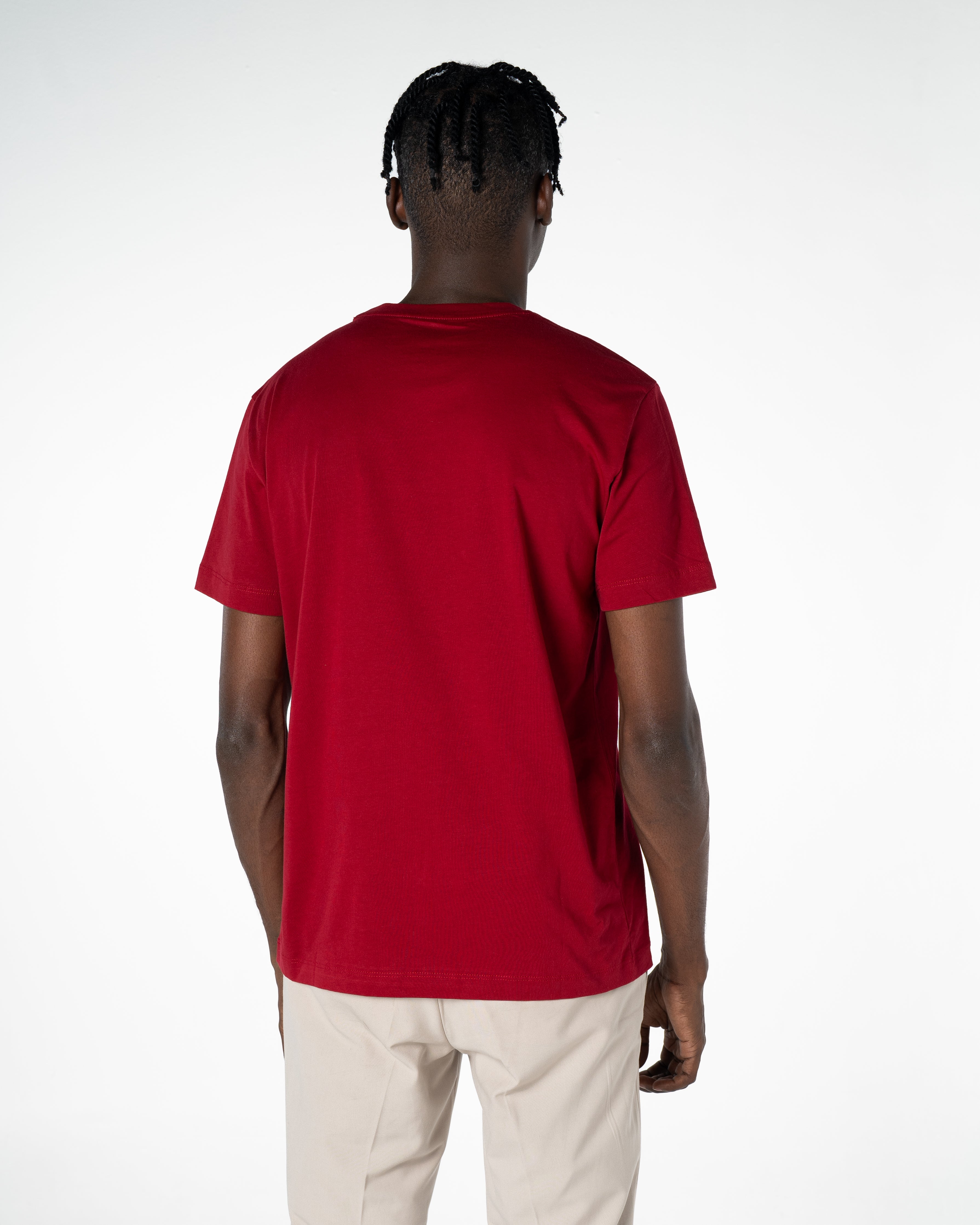 Men's Cotton T-shirt Wild Collection Basic