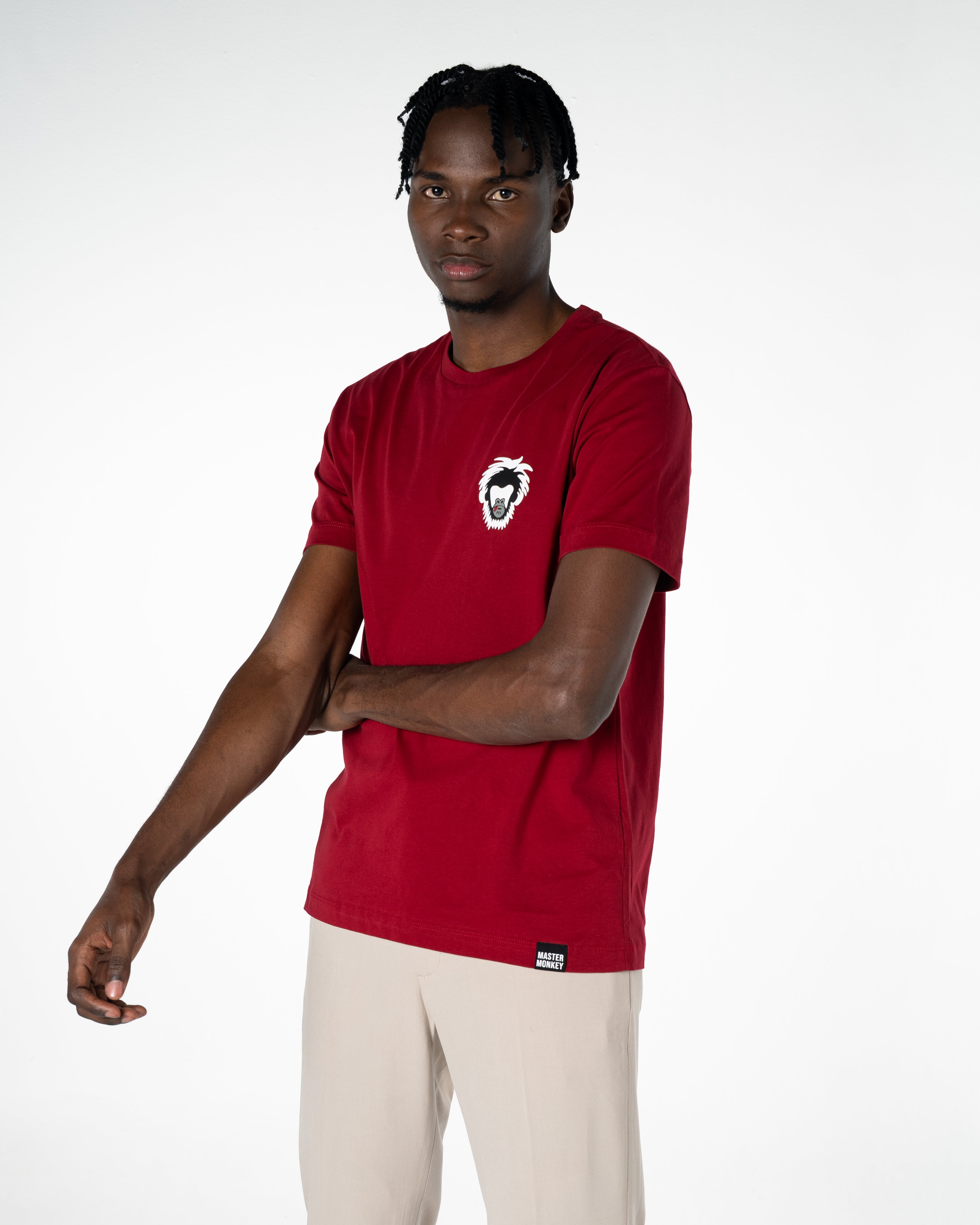 Men's Cotton T-shirt Wild Collection Basic