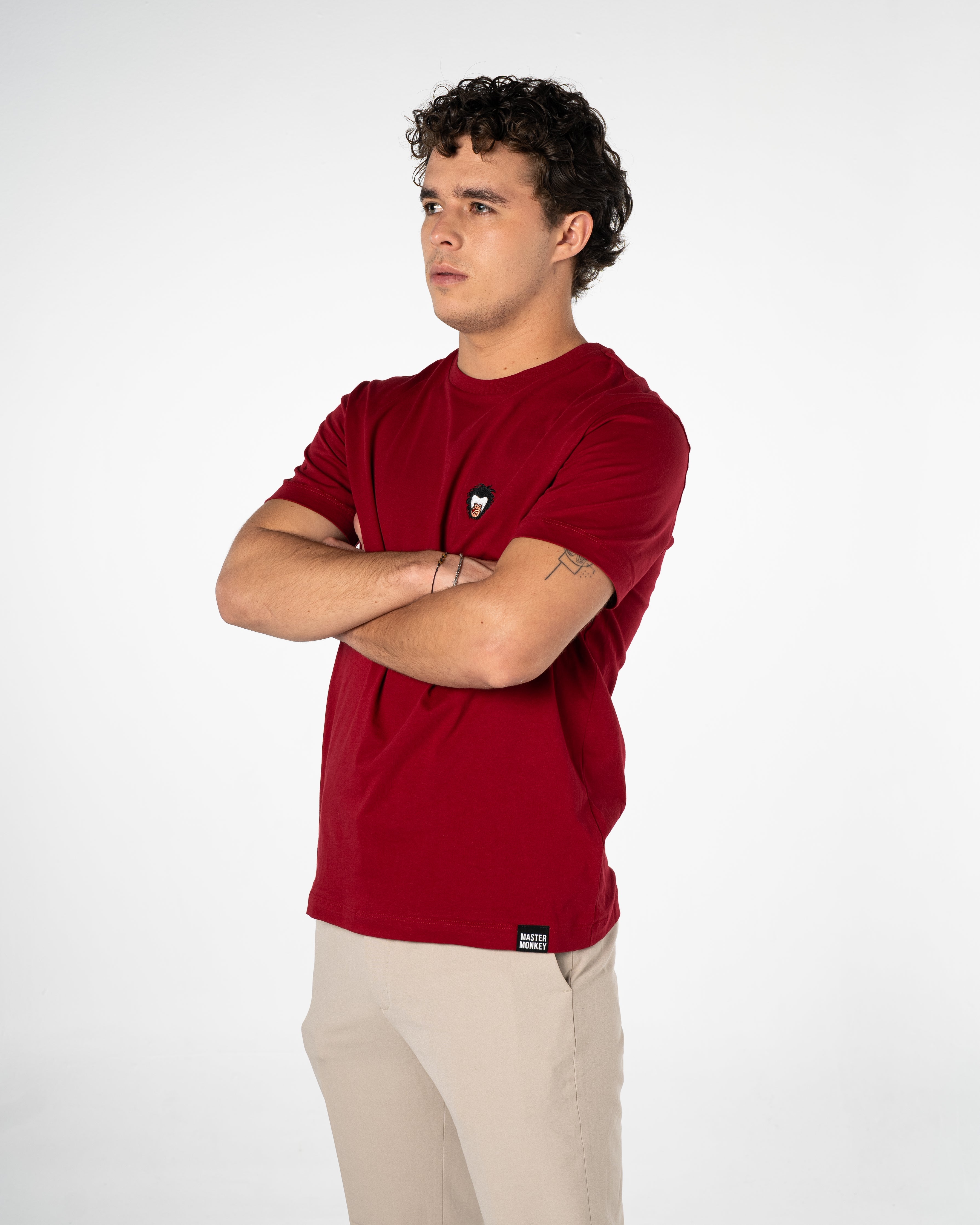 Playera Algodón Hombre T-shirt Basic Collection